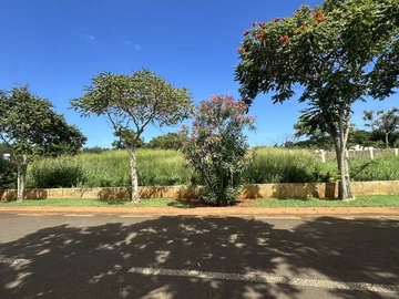 Residential Land