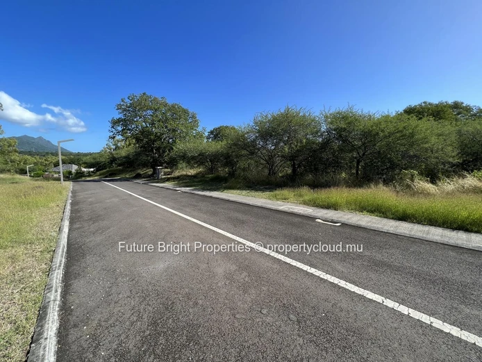 Premium Residential Plot for Sale – Domaine de Palmyre, Petite Rivière Noire (Sole Mandate)