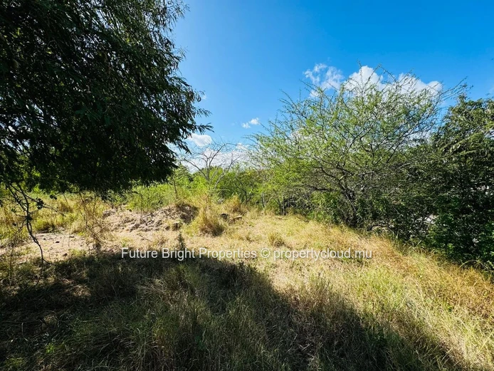 Beautiful Land Opportunity in Domaine TEREMINALIA – Morcellement Belouguet