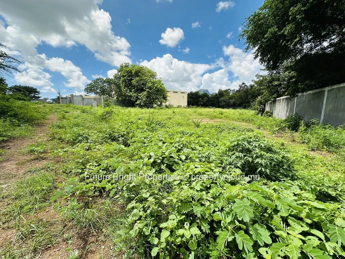 Prime Industrial Land for Sale – Riche Terre, Mauritius