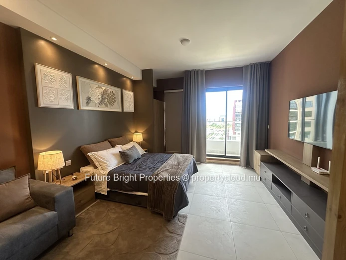Furnished 1-Bedroom Apartment for Rent in Moka
