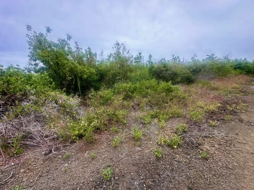 Residential Land
