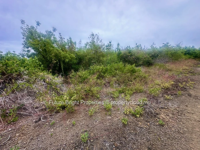 Property For Sale – Residential Land In Grand Gaube