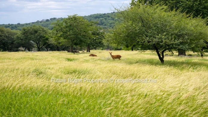 A Private Sanctuary with Majestic Mountain Views in Domaine de Palmyre