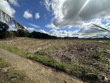 Agricultural Land