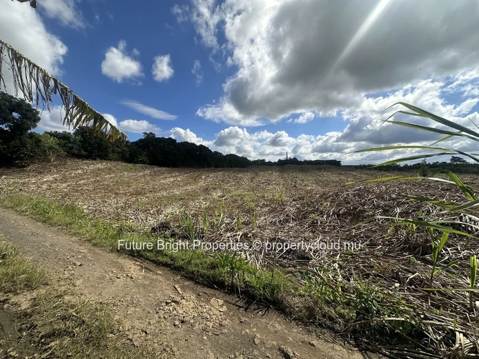 12,029m² Agricultural Land for Sale in Melrose