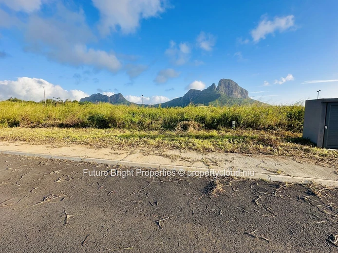 An Exceptional Living Environment in Pierre Fond