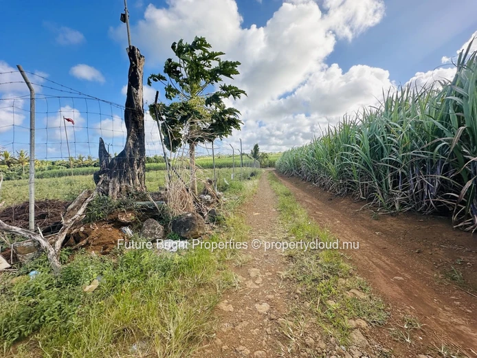 Tranquil Agricultural Land Near the Airport – A Unique Nature Retreat Opportunity